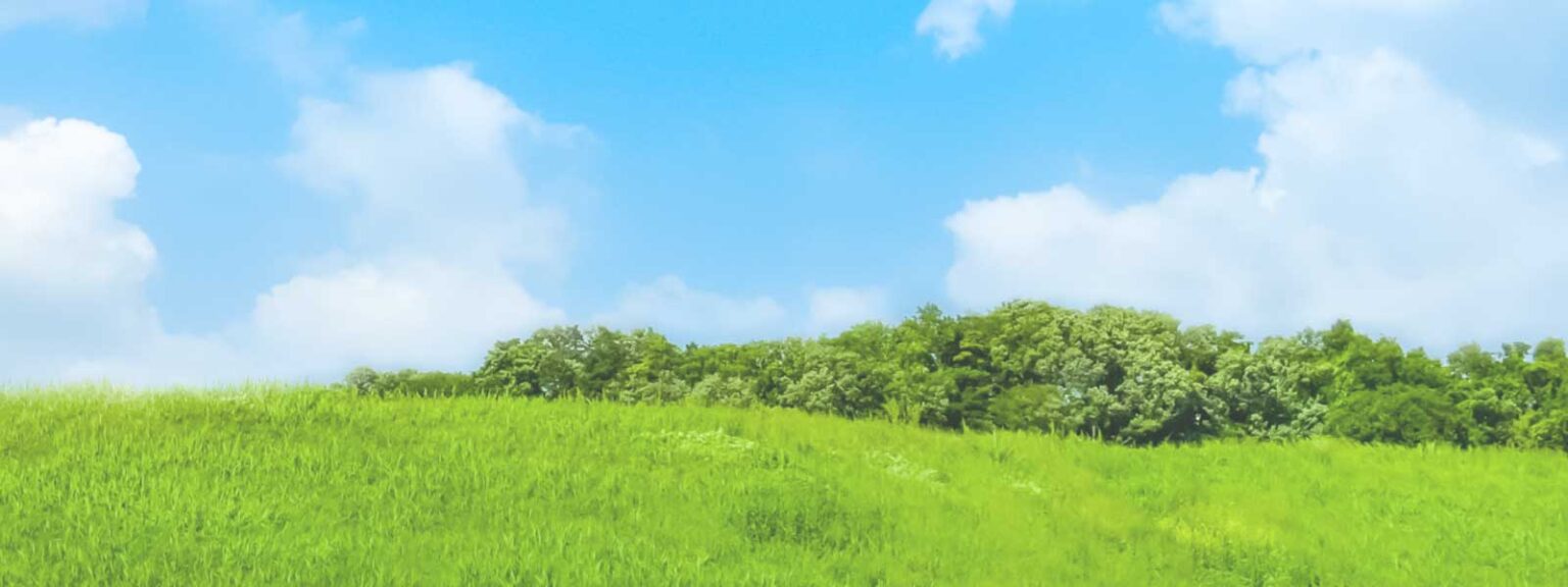 むすびヶ丘 大崎は開所いたしました。随時見学受付中です。